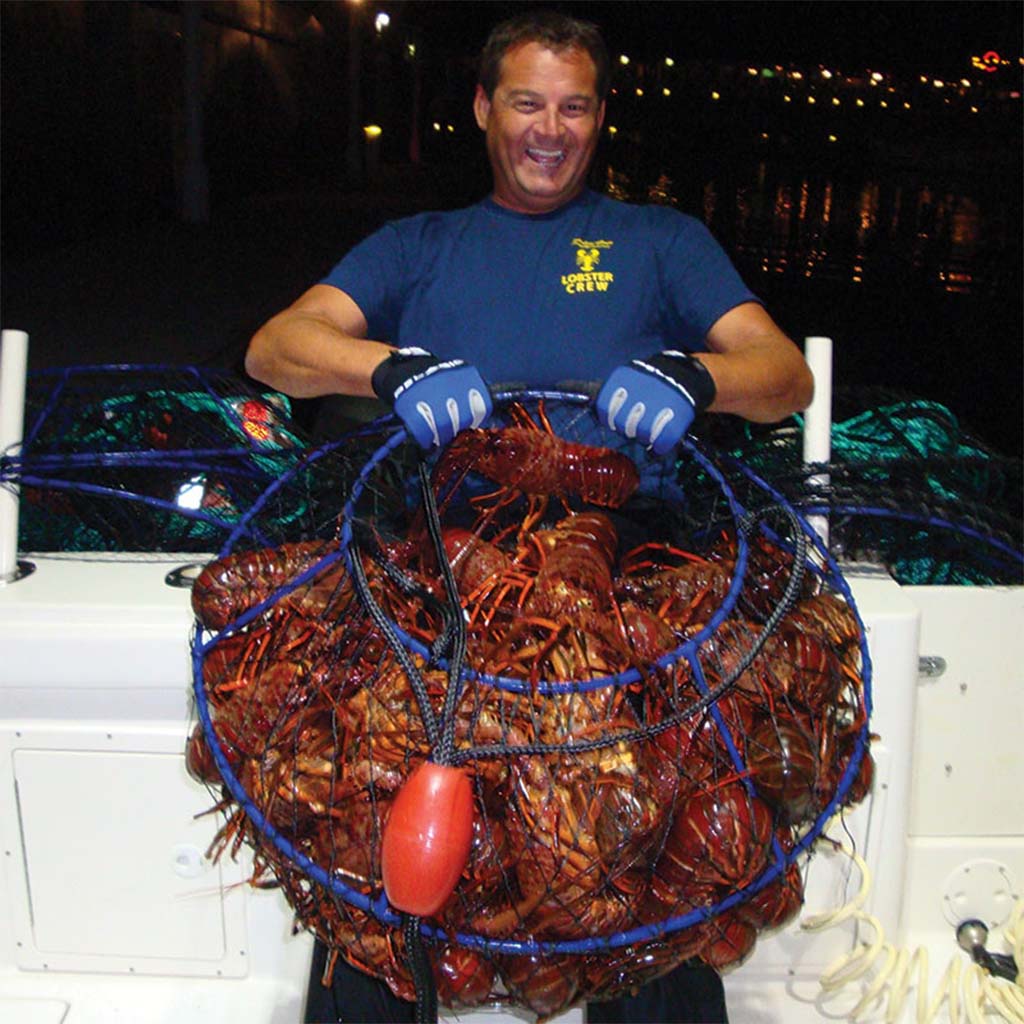 LOBSTER HOOPING BASICS