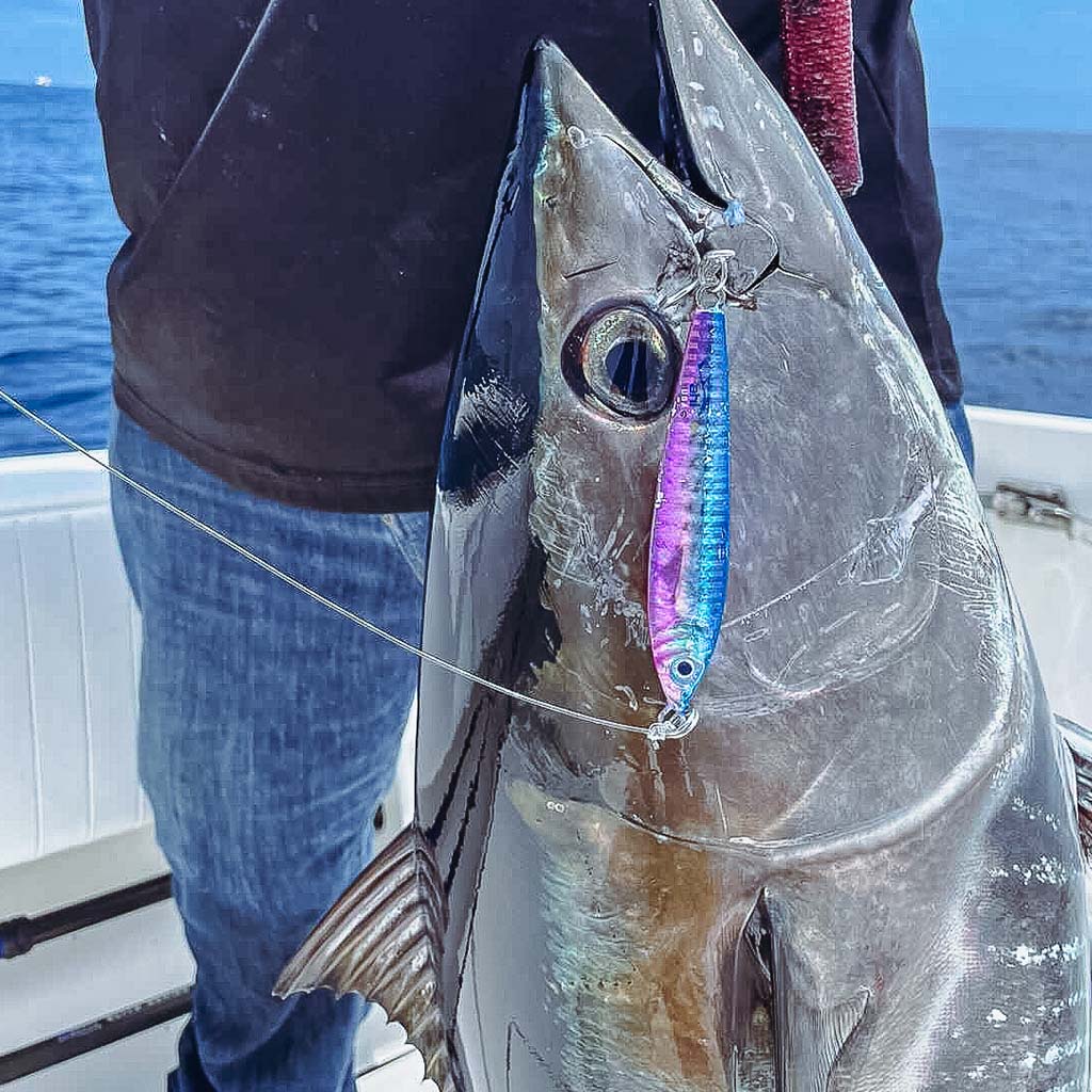 Jigs N' Jig Heads