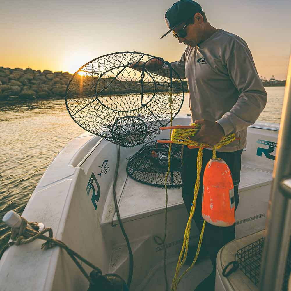 Rig, Light, Bait