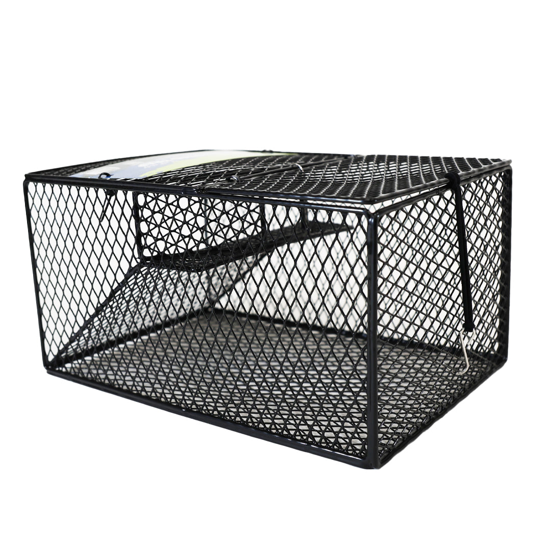 Rectangular Wire Crawdad Trap