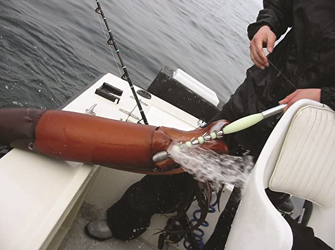 Ahi USA Giant Squid Jigs In Action