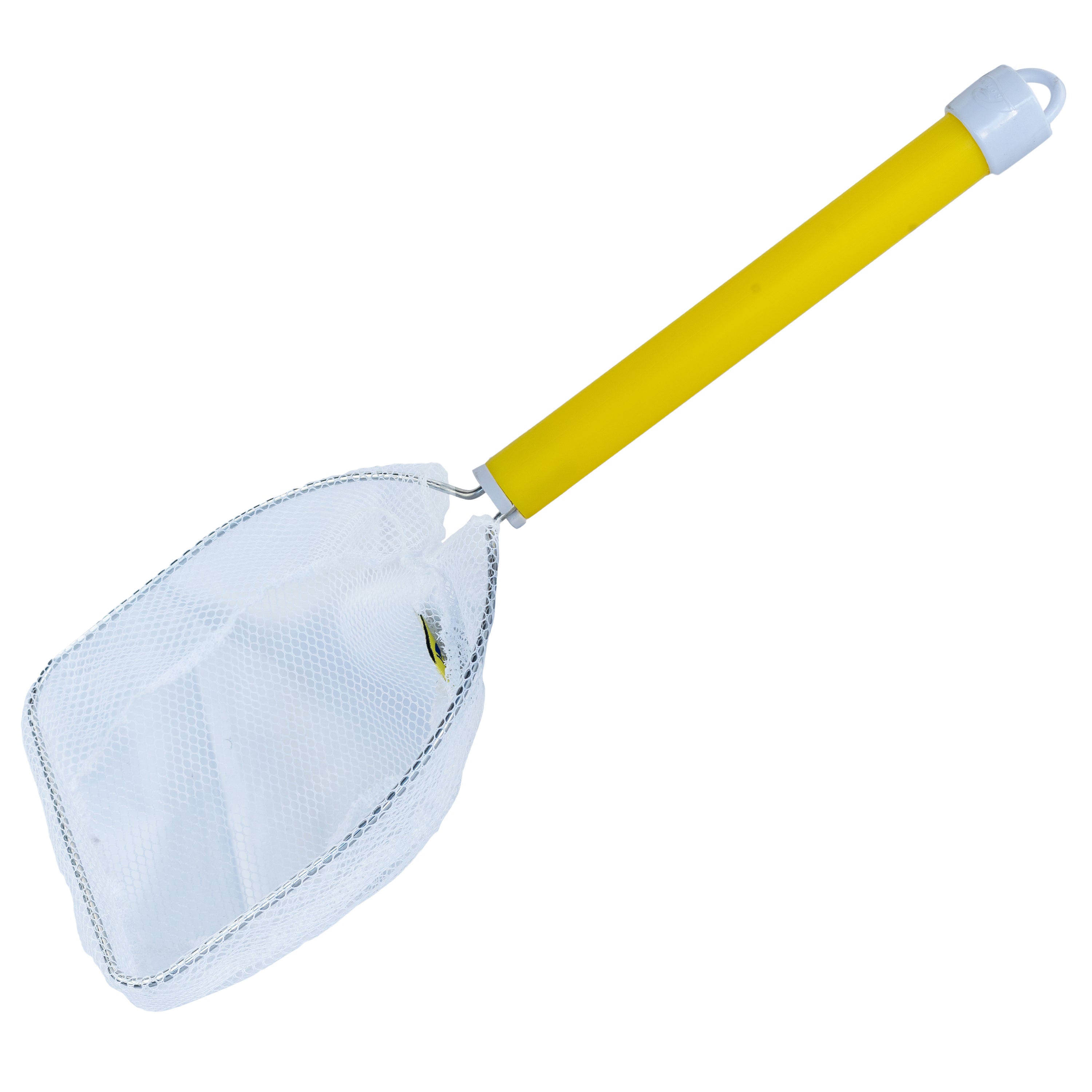 FLOATING BAIT SCOOP NETS (16" or 9" Handle)