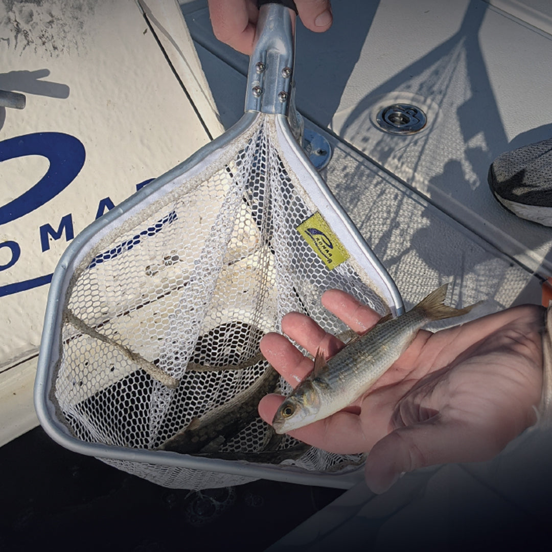 Bait Well Nets – Promar & Ahi USA