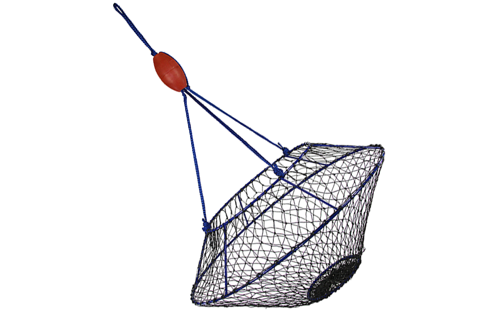 feature-item-1