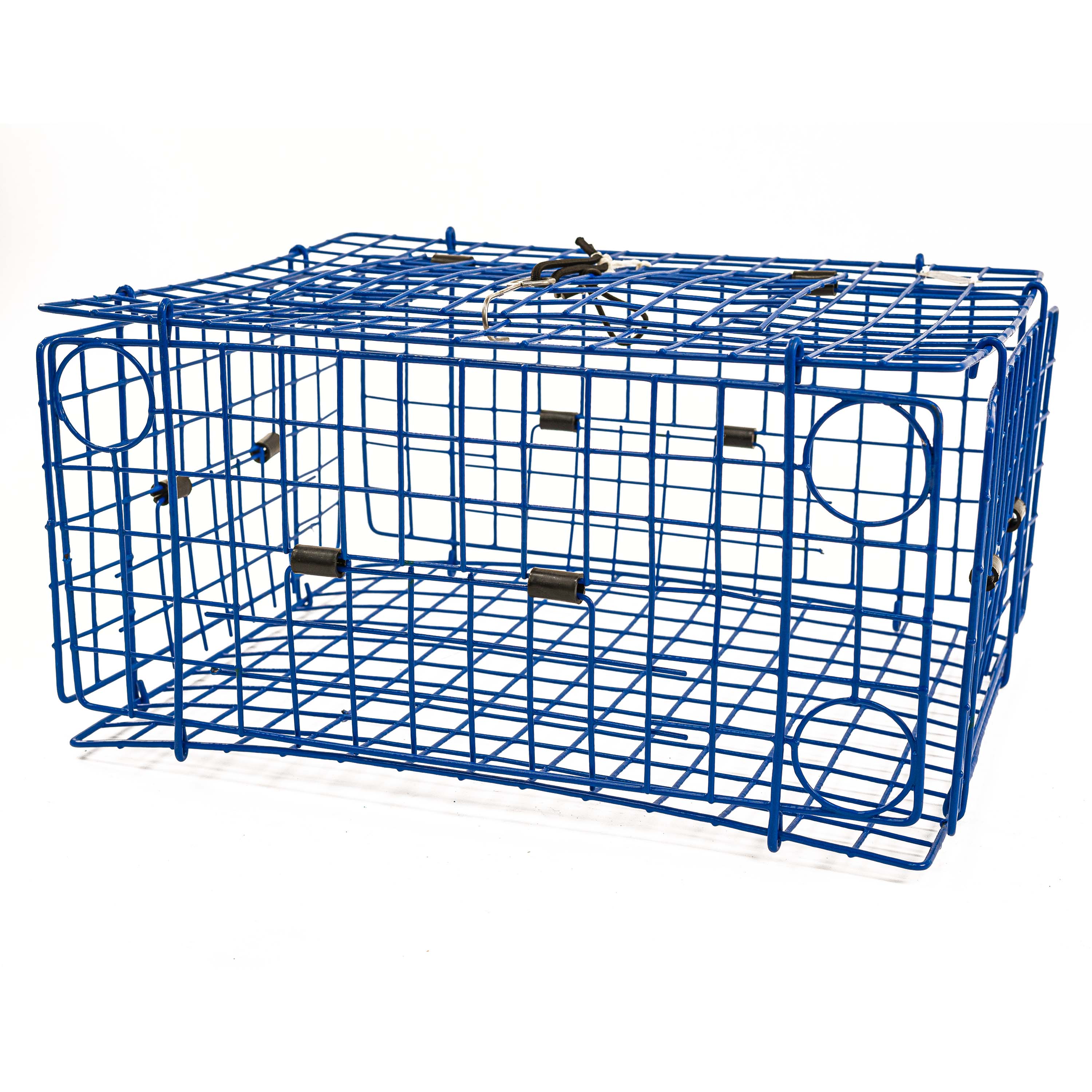 collapsible crab and fish trap Drasry Foldable Fishing for Bait Shrimp Crawfish Minnow Net Portable Accessories 11.8 x 11.8 x 15.7 (30cm x 40cm) 1/4 in Mesh Trap (1PCS) : Sports & Outdoors wire secure clamps Promar TR-102 Collapsible Fish &