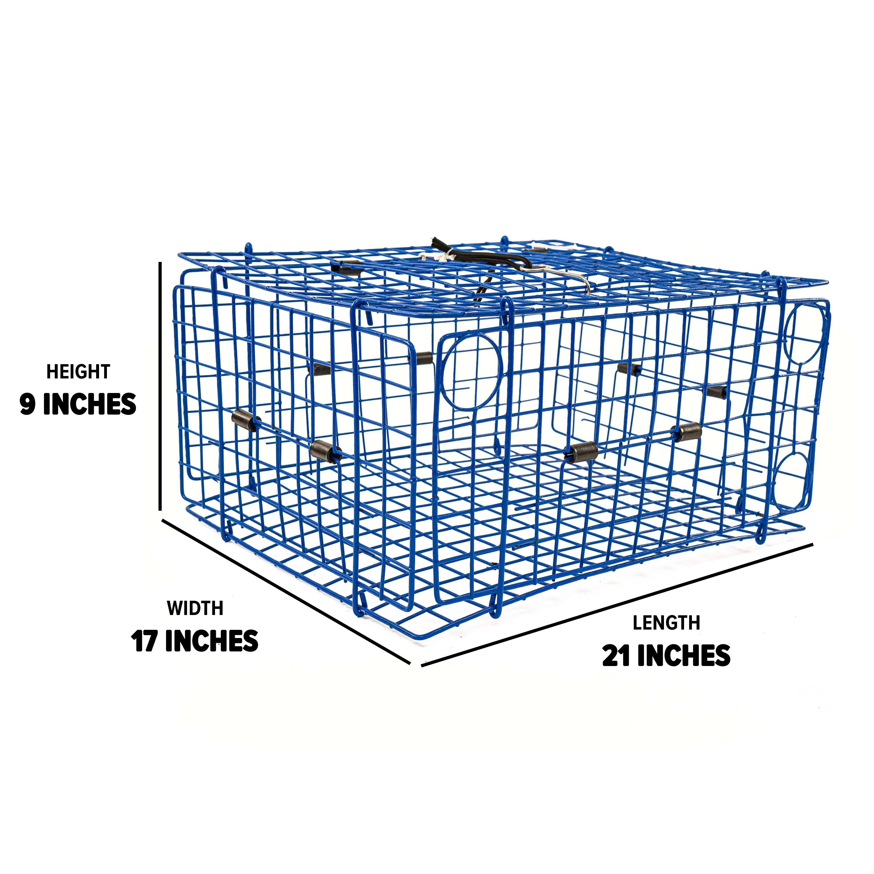 Deluxe Folding Blue Crab Trap