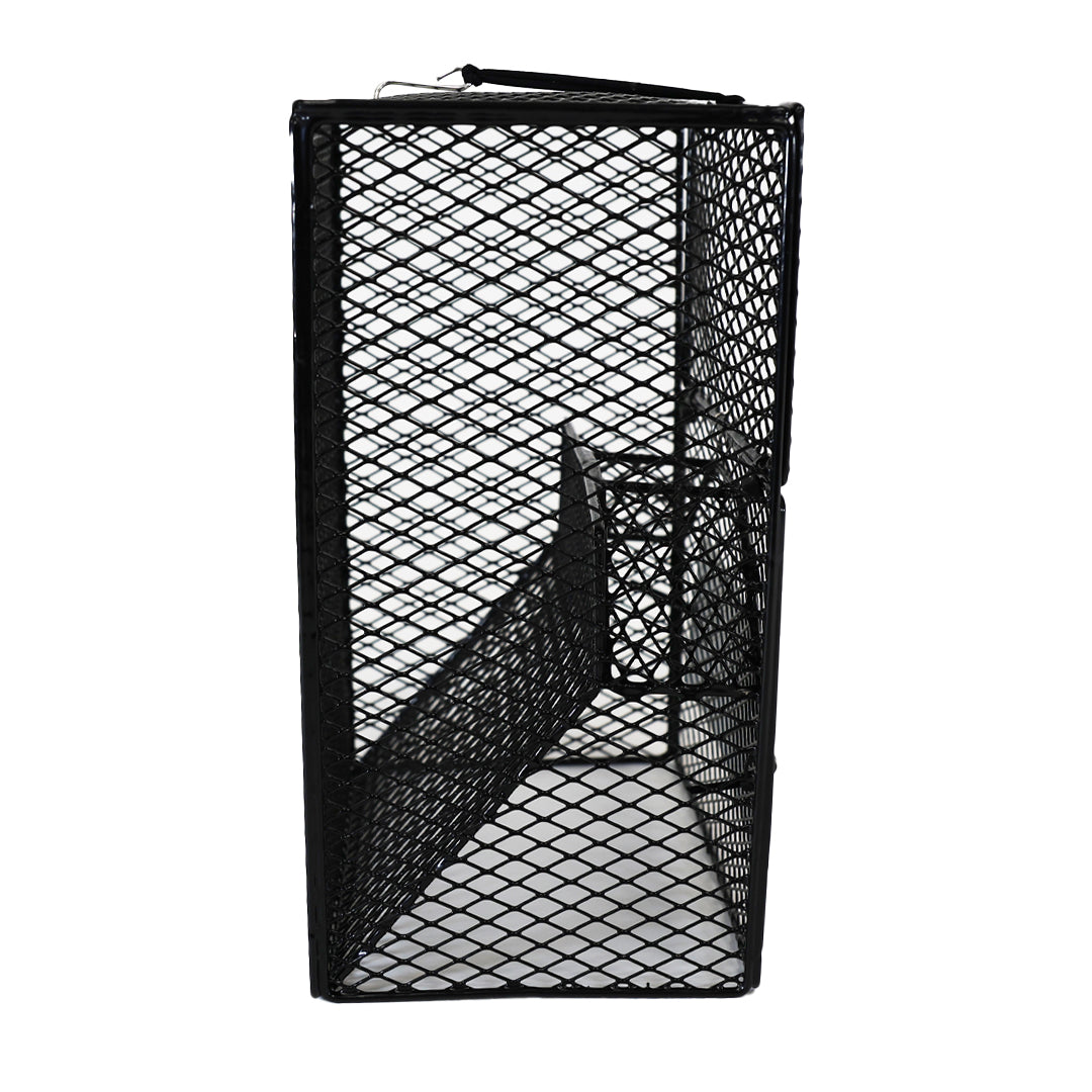 Rectangular Wire Crawdad Trap