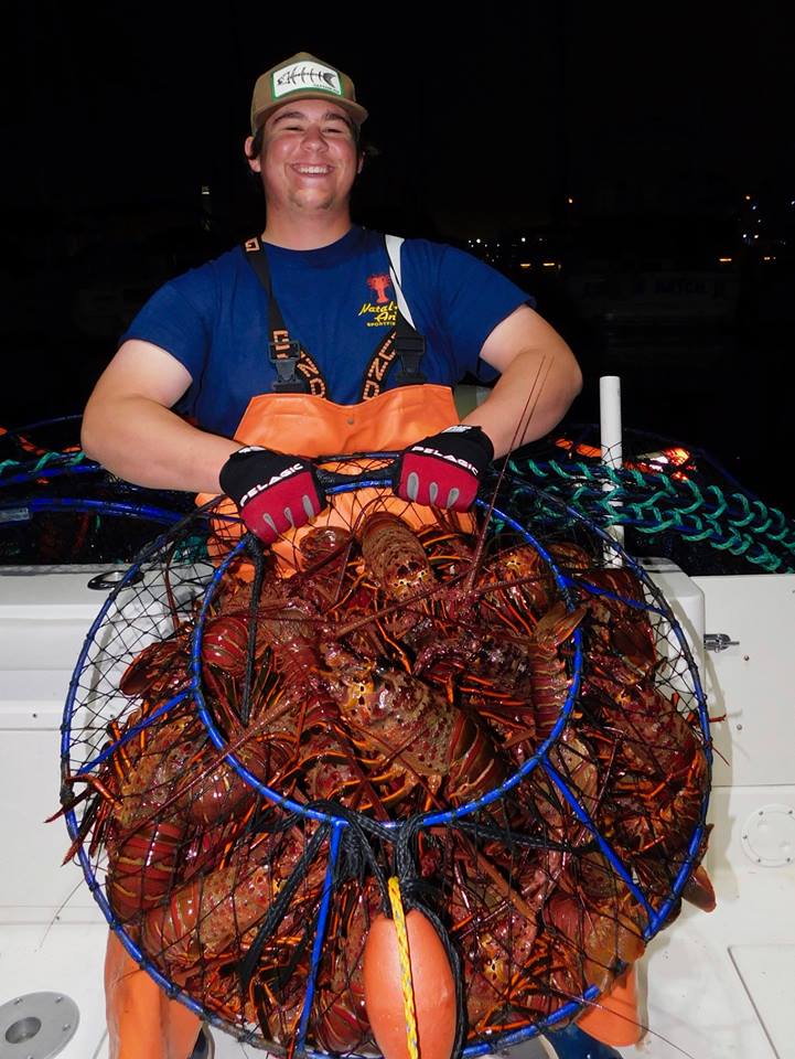 Promar AMBUSH Hoop Net