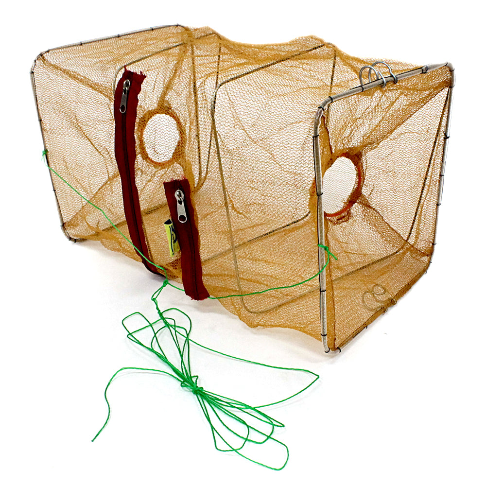 collapsible basket fish trap Promar Collapsible Live Bait Trap