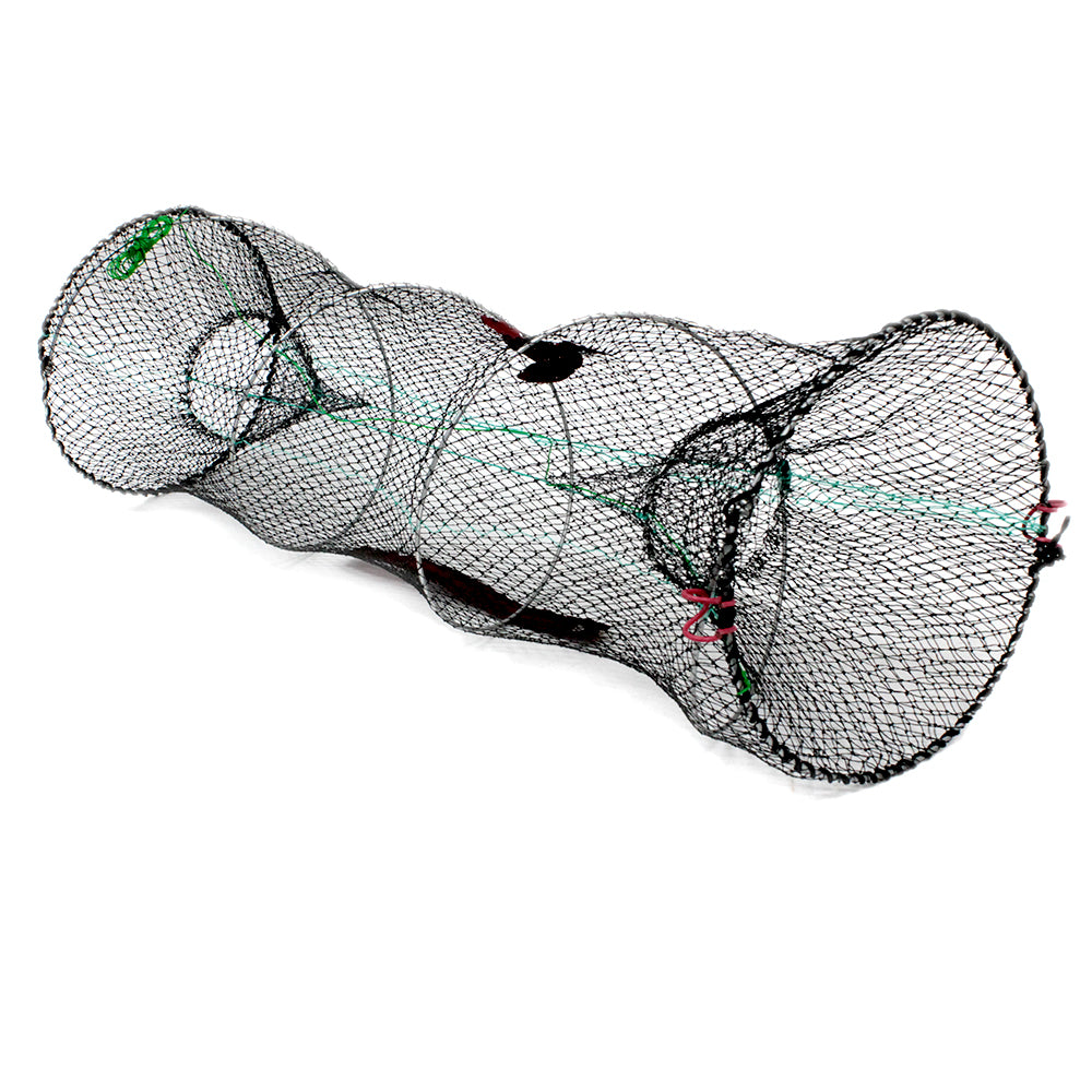 Collapsible Live Bait Traps