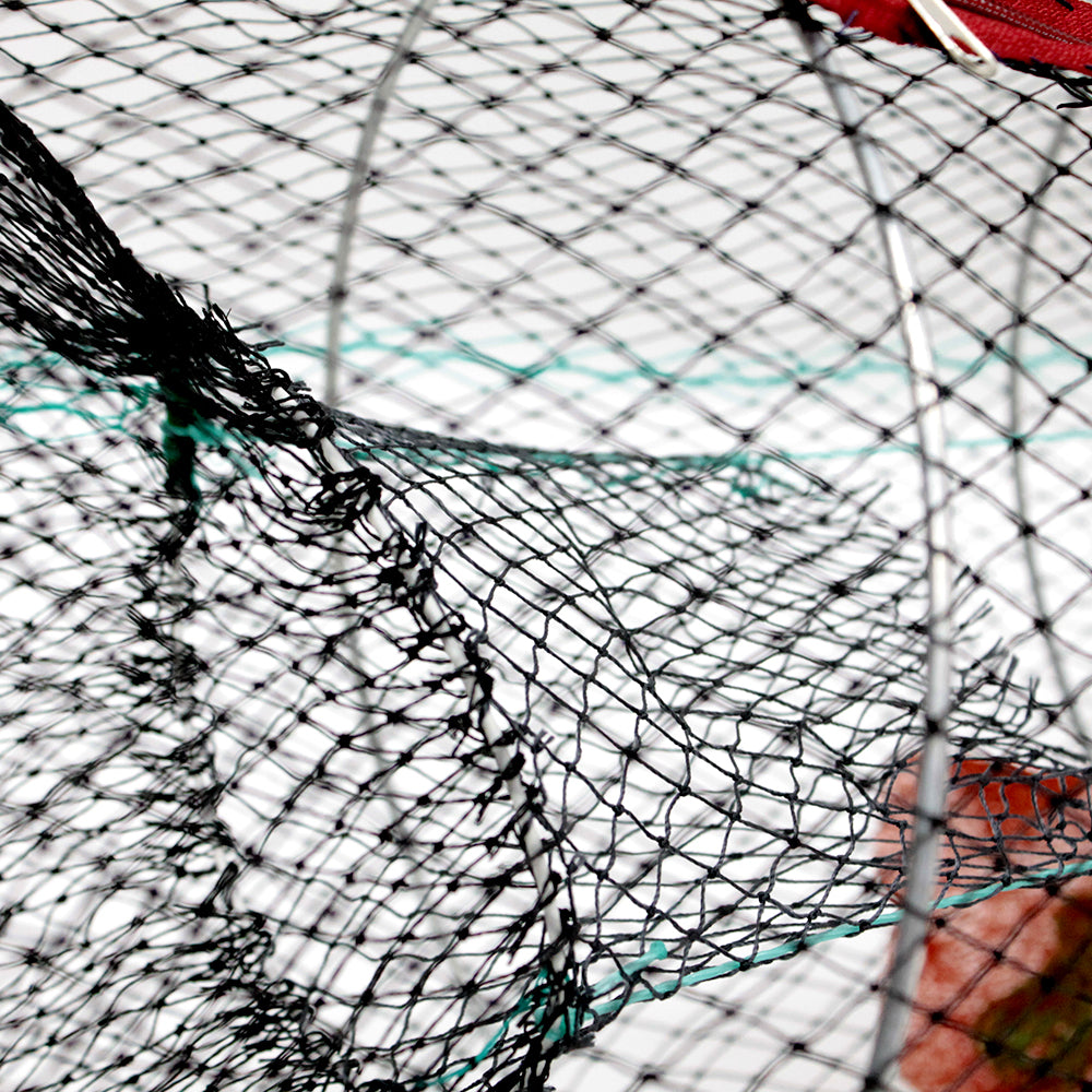 Collapsible Live Bait Traps Entrance