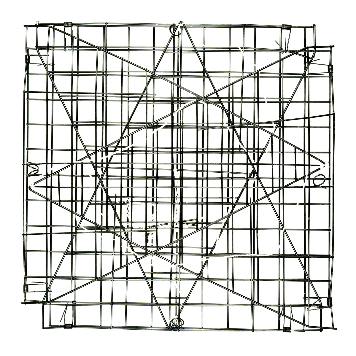Star Crab Trap Promar & Ahi USA